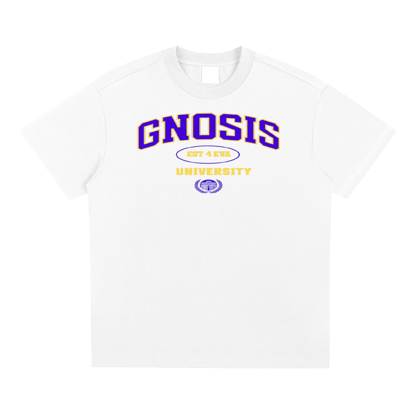 Gnosis University Type 2