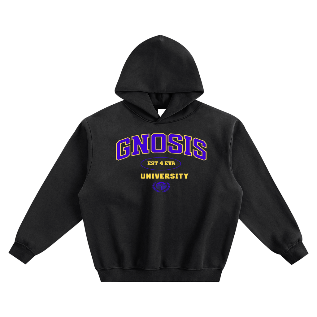 A Class Gnosis University Hoodie Type 2