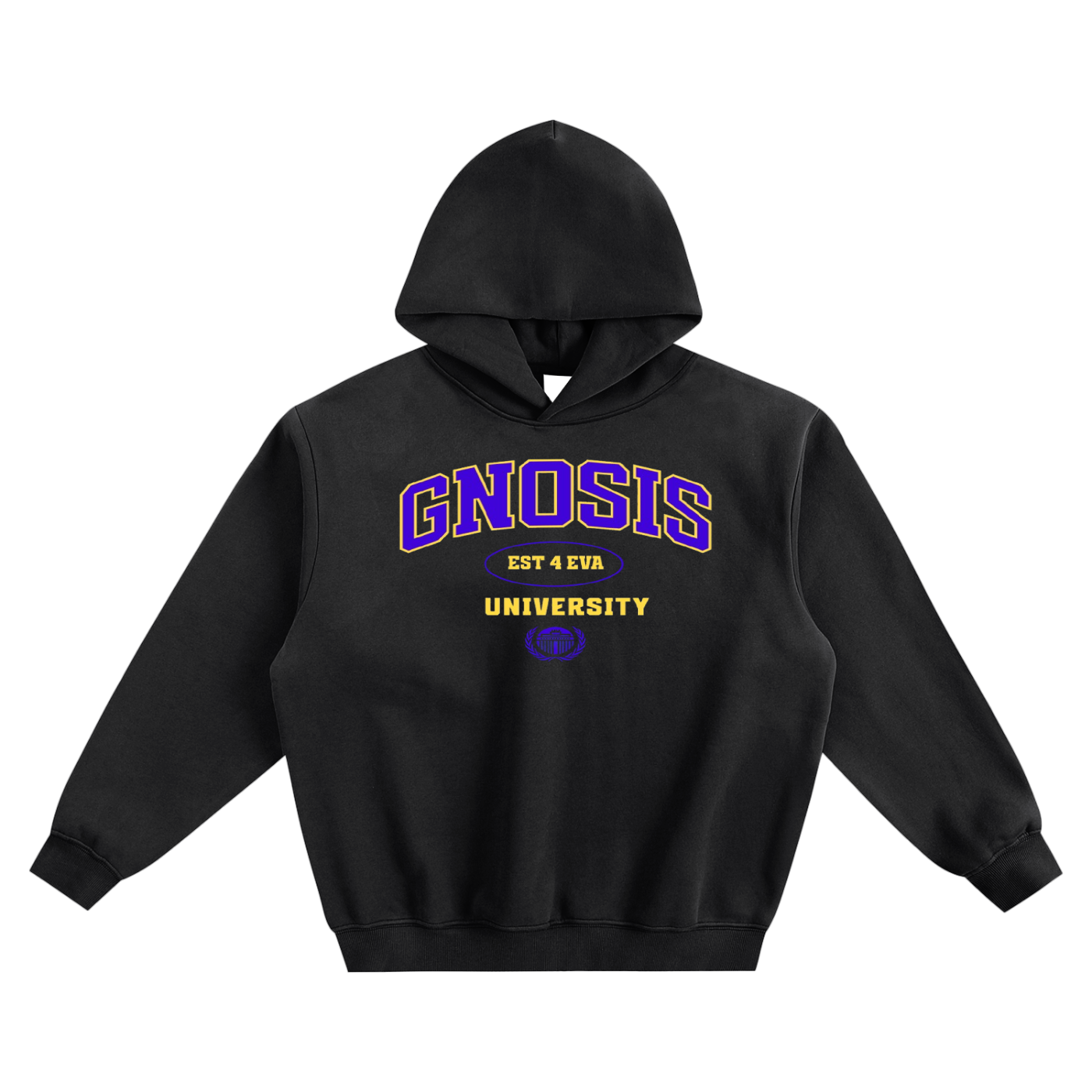 A Class Gnosis University Hoodie Type 2