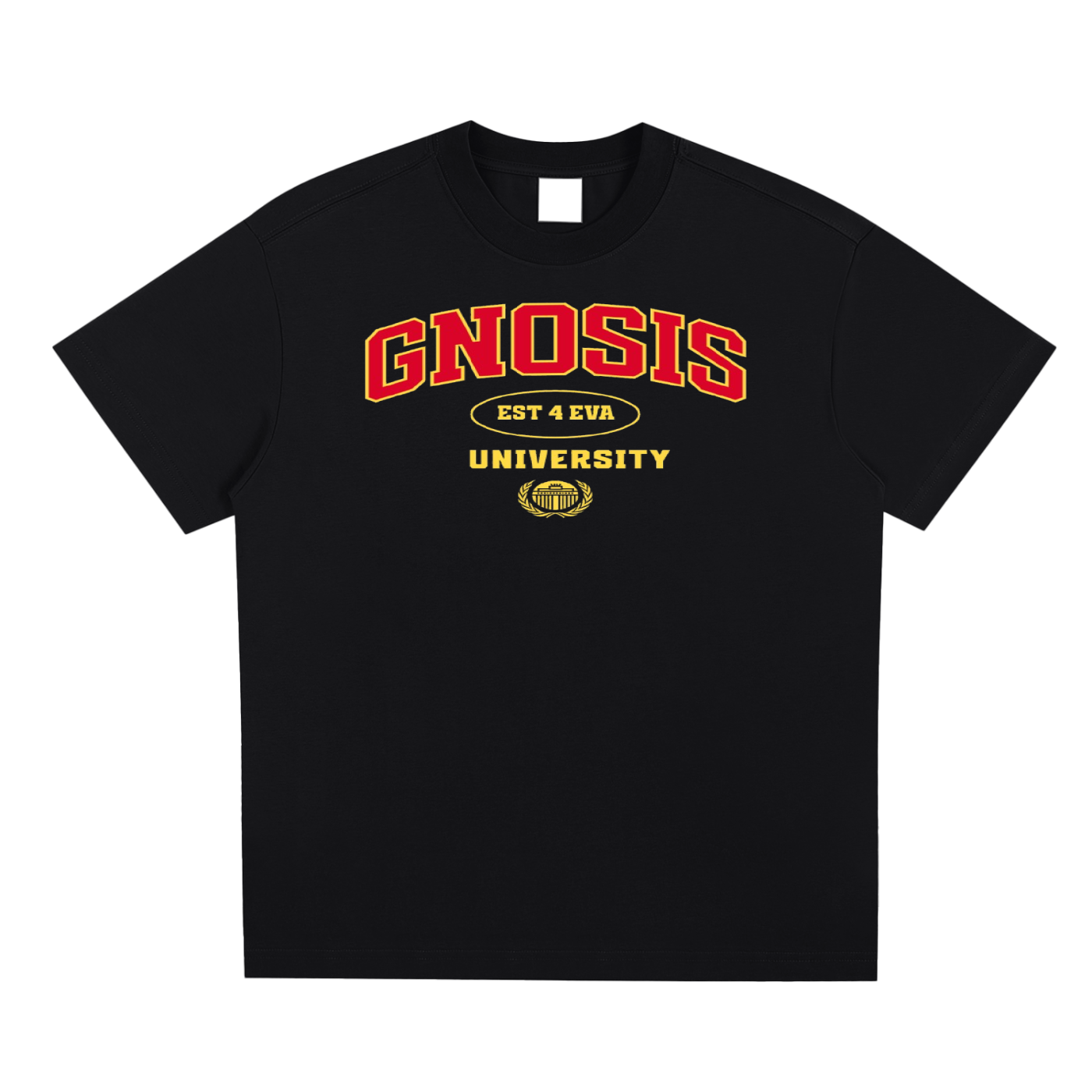 Gnosis University Type 1