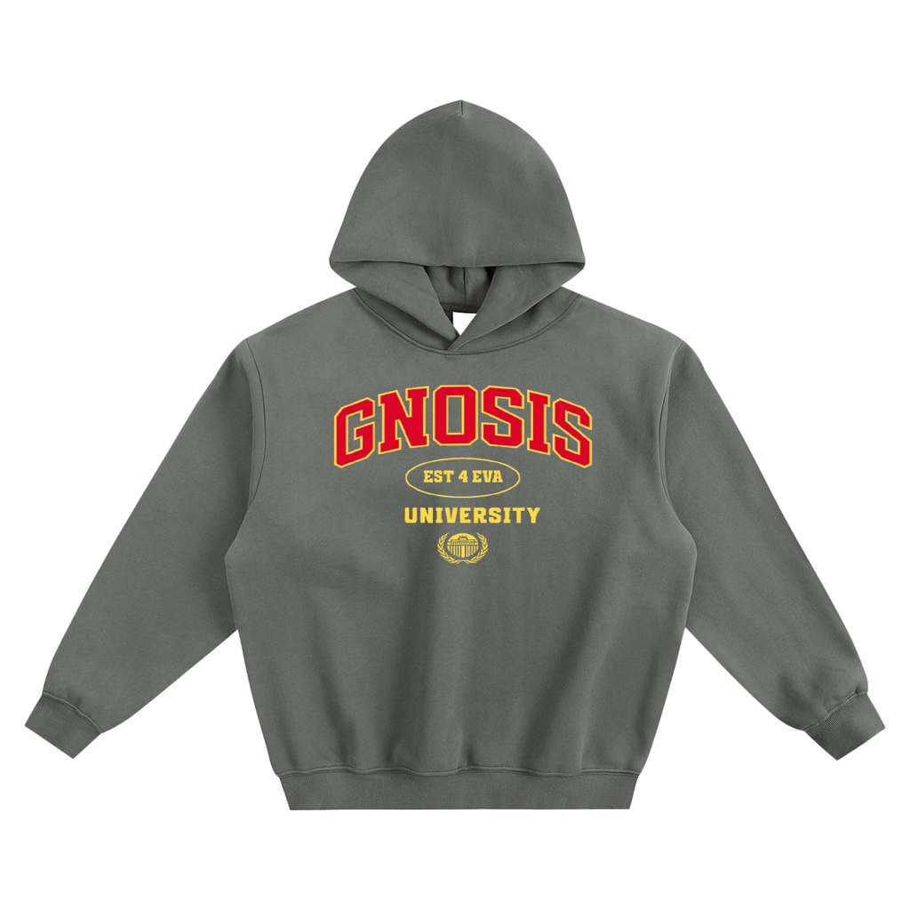 Gnosis University Hoodie Type 1