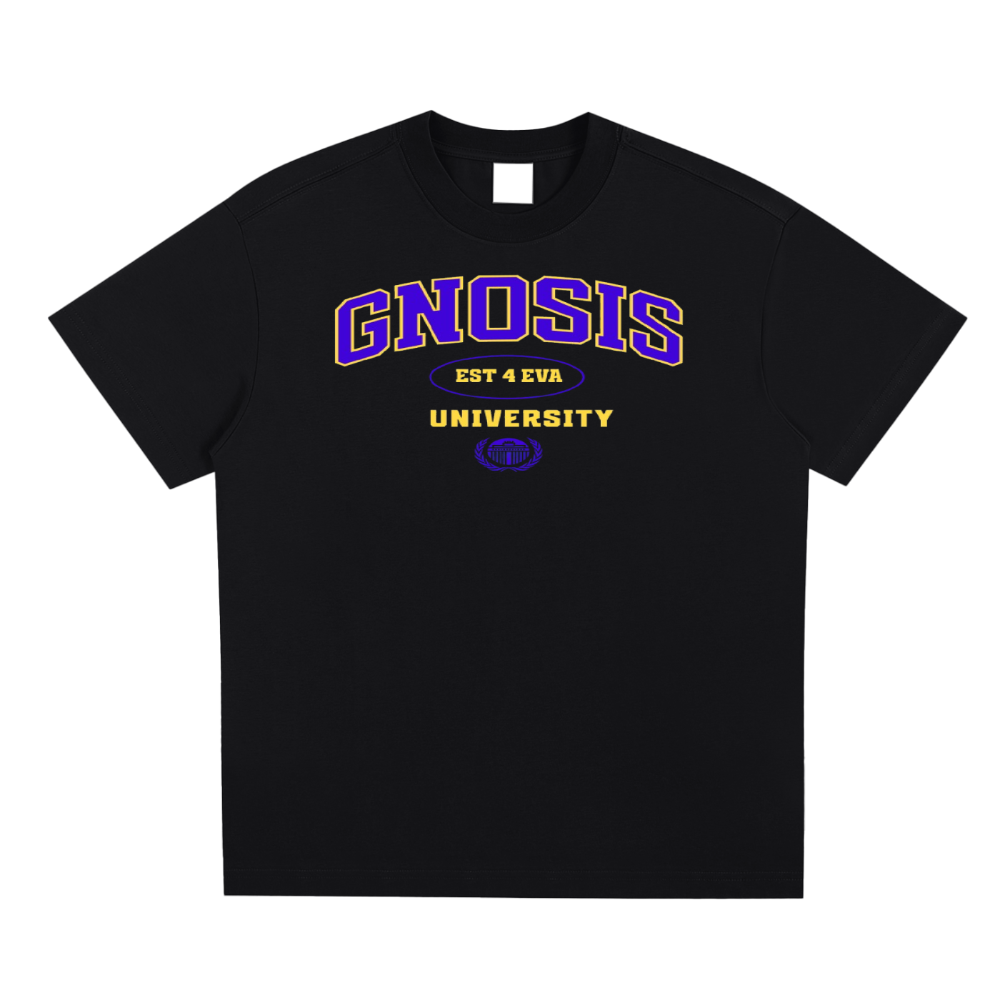 Gnosis University Type 2