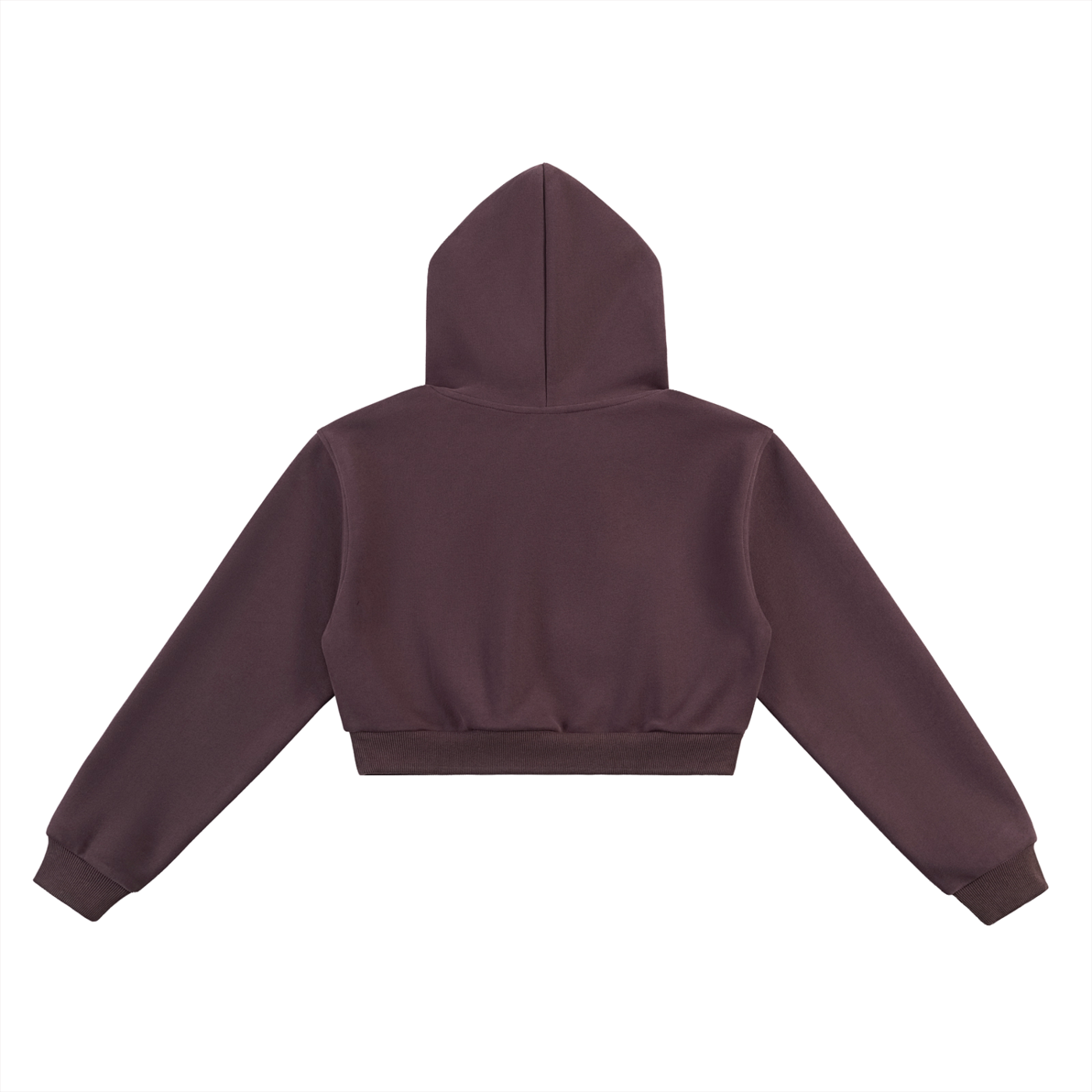 "Gnosis" Cropped Hoodie Type 2