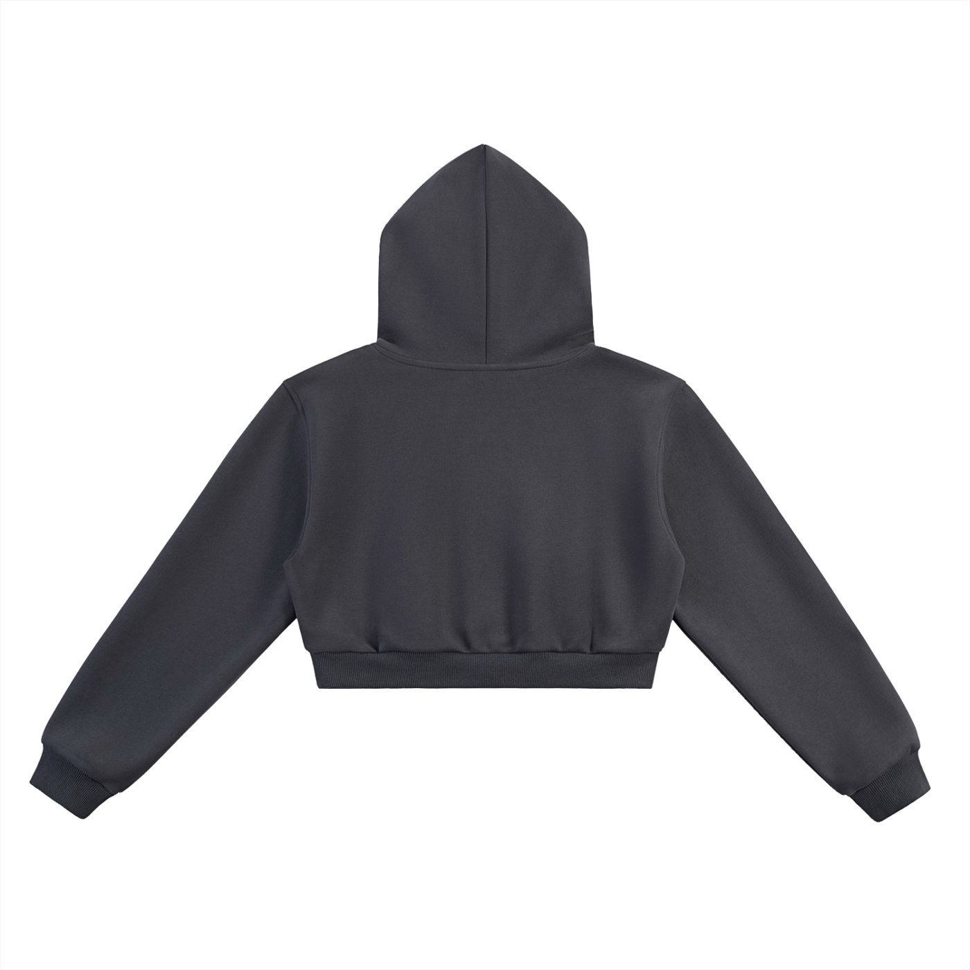 "Gnosis" Cropped Hoodie Type 2
