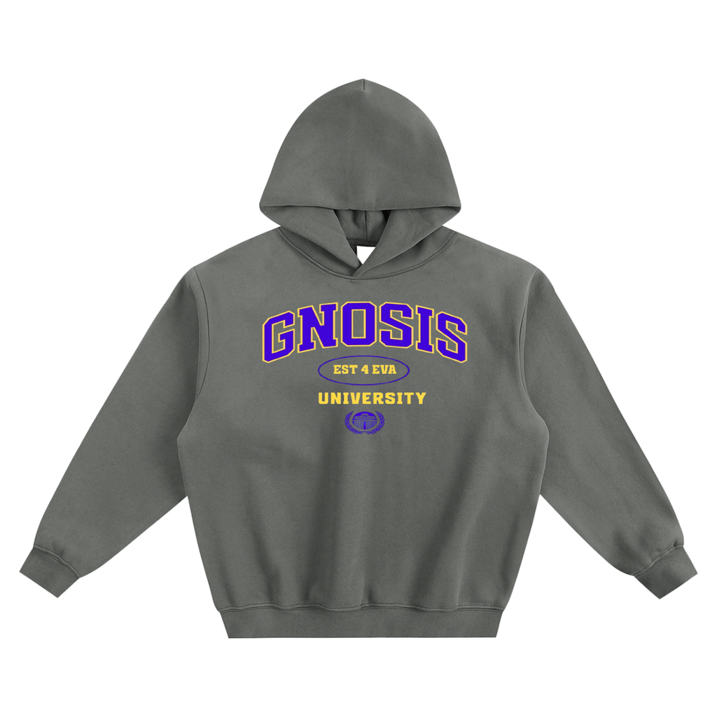 A Class Gnosis University Hoodie Type 2