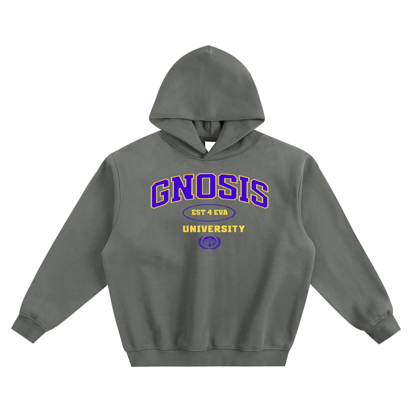 A Class Gnosis University Hoodie Type 2