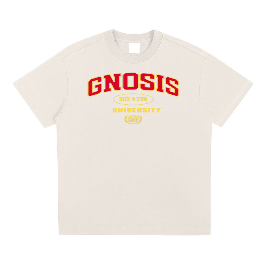 Gnosis University Type 1