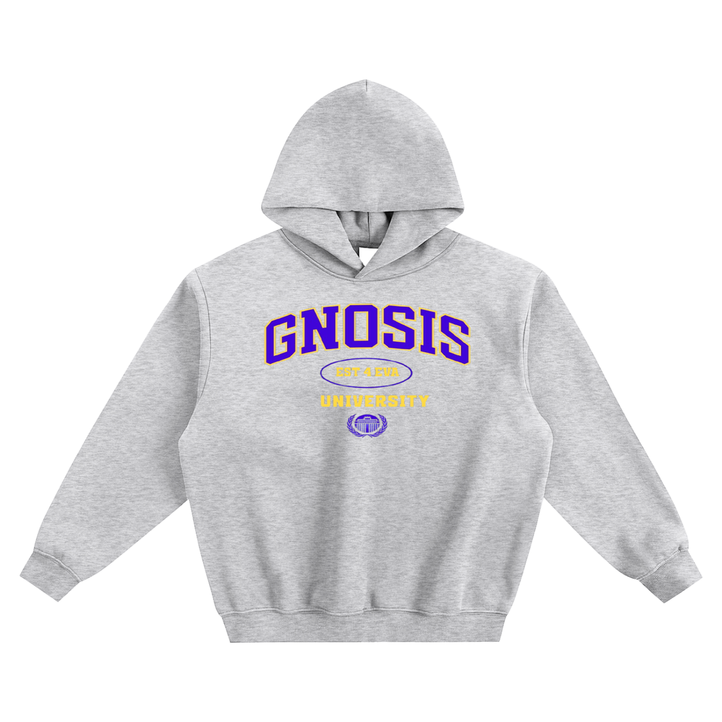 A Class Gnosis University Hoodie Type 2