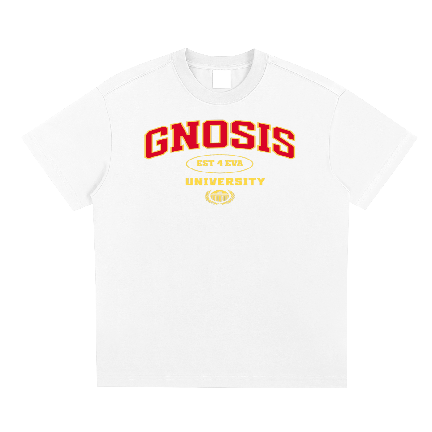 Gnosis University Type 1