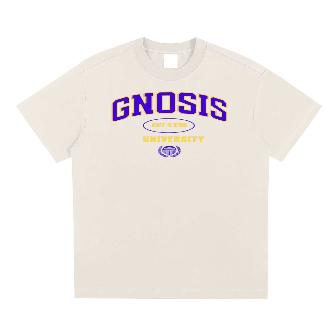 Gnosis University Type 2