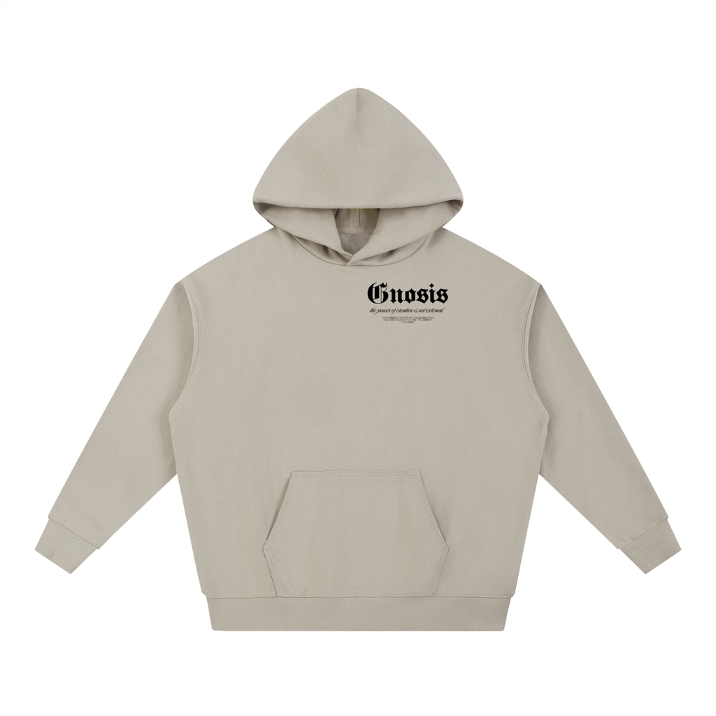 "Just Gnosis" Heavyweight Hoodie