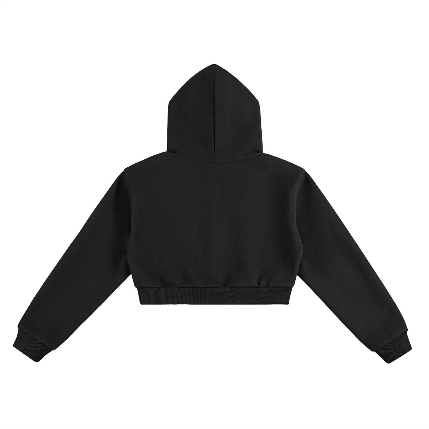 "Gnosis" Cropped Hoodie Type 2