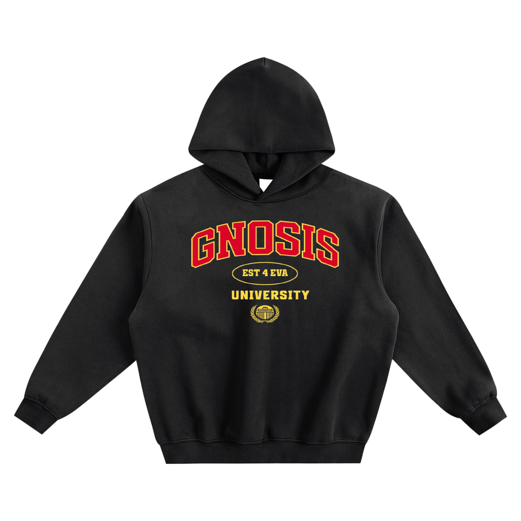 Gnosis University Hoodie Type 1